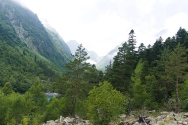 Dağ manzarası, göl ve dağ sırası. Dombay, kuzey kafkasya, ham orijinal