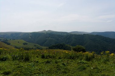 Dombay ve kislowodsk arasında kuzey kafkasya gumbashi geçit üzerinde 2000 m üzerinde yemyeşil çimler çayır ve dağlar, ham orijinal resim
