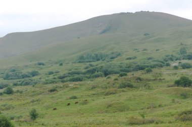 Kislowodsk yakınlarındaki kafkas dağlarında Mougreen çim çim manzara, ham orijinal resim