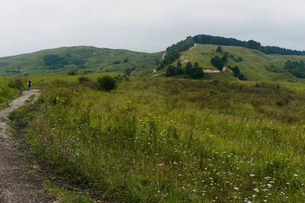 Mouzelená travní krajina v kavkazských horách blízko kislowodsku, původní originální obrázek — Stock fotografie