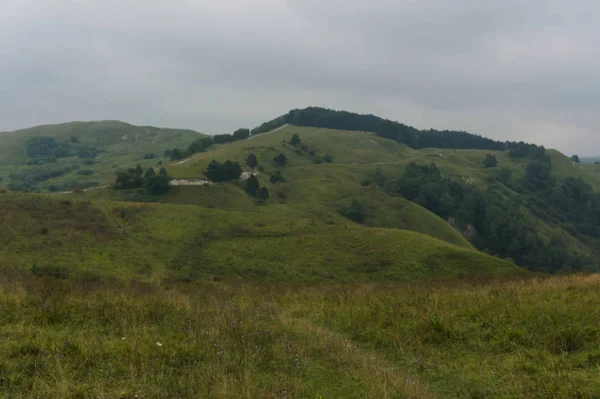 Mouzelená travní krajina v kavkazských horách blízko kislowodsku, původní originální obrázek — Stock fotografie