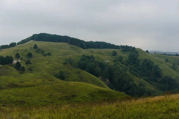 Mougreen trawnik trawy krajobraz w górach Kaukazu w pobliżu kislowodsk, surowe oryginalny obraz — Zdjęcie stockowe