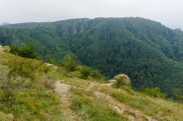 Зеленый газон пейзаж в горах Кавказа возле Кисловодска, оригинальная фотография — стоковое фото