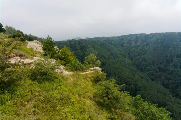 Mundgrüne Rasengraslandschaft in den Kaukasusbergen bei Kislowodsk, rohes Originalbild — Stockfoto