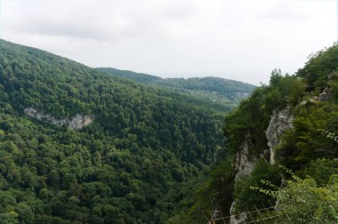 Dağ ormanı ağaçları ve dramatik ağır mavi gökyüzü görünümü. Güneşli arka plan ile doğal manzara. Bulutlar sahne ile Yeşil ahşap orman, ham orijinal resim