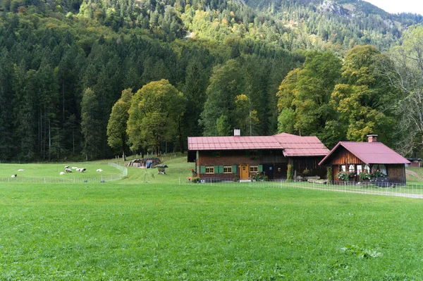 Одинокая хижина где-то в баварских Альпах — стоковое фото