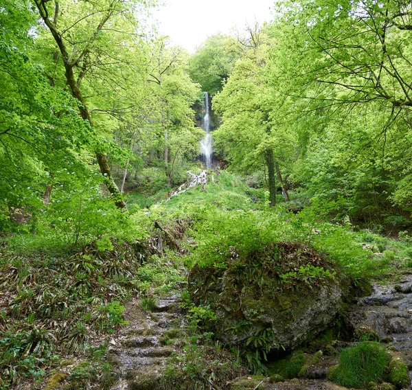 Bad Urach Şelalesi, Swabian Alb, Baden-Wuerttemberg, Almanya