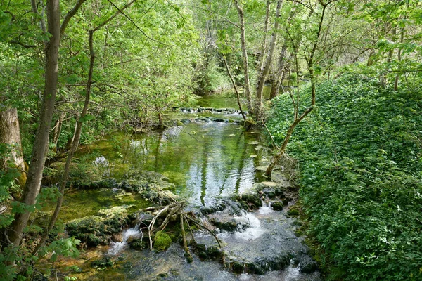 Folyó Rossz Urach Közelében Vízesés Németországban Zöld Táj Tavasszal — Stock Fotó