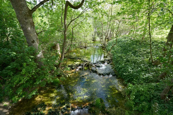 Río Urach Malo Cerca Una Cascada Alemania Paisaje Verde Primavera — Foto de Stock