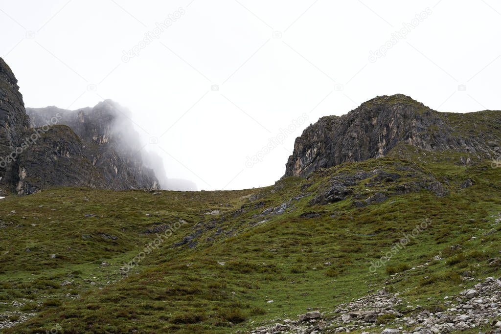 large high quality picture of a herd of chamois in the distance