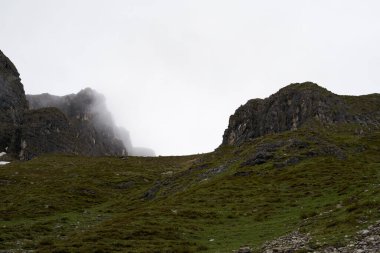 Uzaktaki bir papağan sürüsünün yüksek kaliteli fotoğrafı.