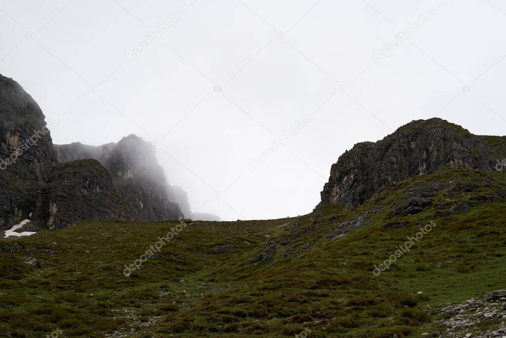 large high quality picture of a herd of chamois in the distance