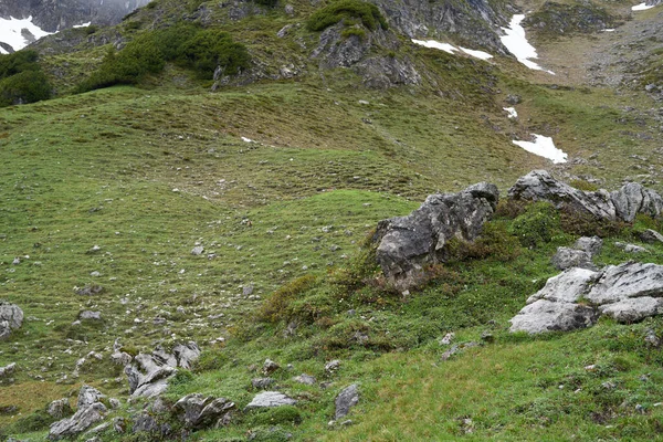 Marmotas Alpinas Camufladas Una Superficie Montañosa Los Alpes Bavarianos — Foto de Stock