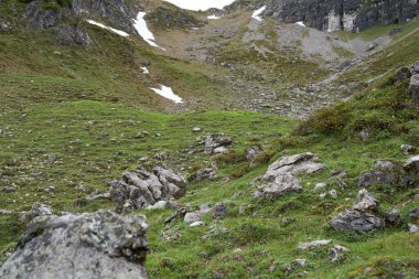 Alp dağları Bavyera Alplerinde bir dağ yüzeyinde kamufle oldular.