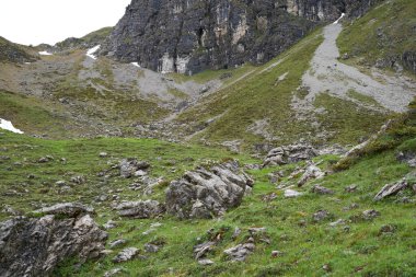 Alp dağları Bavyera Alplerinde bir dağ yüzeyinde kamufle oldular.