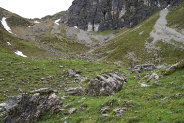 Alp dağları Bavyera Alplerinde bir dağ yüzeyinde kamufle oldular.