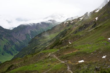 Perene bitki örtüsü, yüksek kaliteli resim, panorama dağ tarafı.