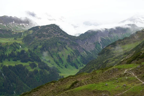 Ορεινή Πλευρά Γαλήνια Βλάστηση Υψηλής Ποιότητας Εικόνα Πανοραμική Βουνοπλαγιά — Φωτογραφία Αρχείου