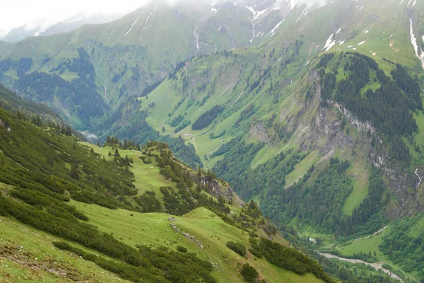 Bergkant Met Perene Vegetatie Hoge Kwaliteit Foto Panorama Berghelling — Stockfoto