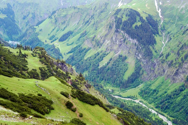 Mountain side with perene vegetation, high quality picture, panorama mountain side