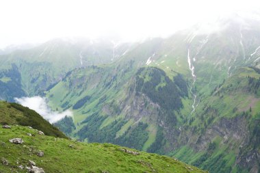 Perene bitki örtüsü, yüksek kaliteli resim, panorama dağ tarafı.