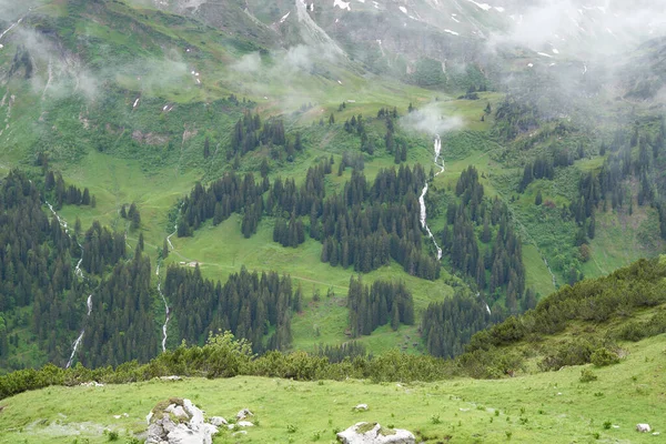 Lado Montaña Con Vegetación Perena Imagen Alta Calidad Lado Montaña —  Fotos de Stock