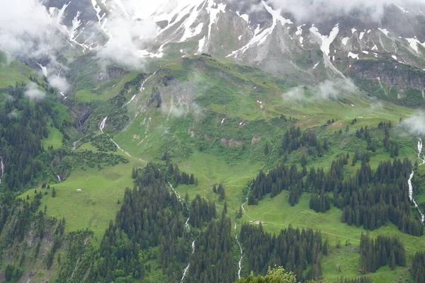 Mountain side with perene vegetation, high quality picture, panorama mountain side