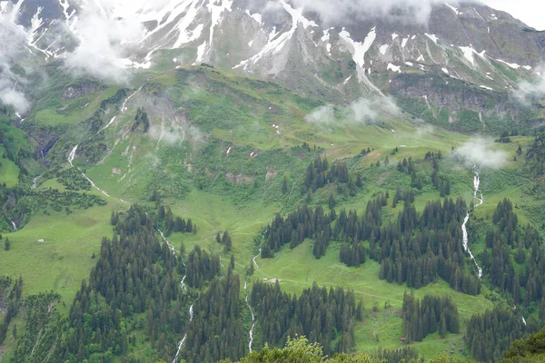 Lado Montanha Com Vegetação Perene Imagem Alta Qualidade Lado Montanha — Fotografia de Stock