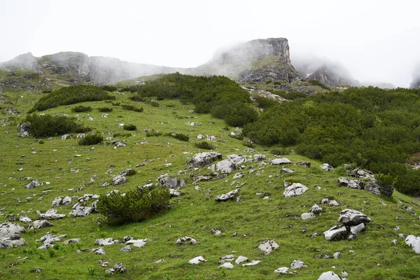 Sendero Senderismo Desde Los Alpes Bavarianos Cerca Cabaña Mindelheimer Imágenes —  Fotos de Stock