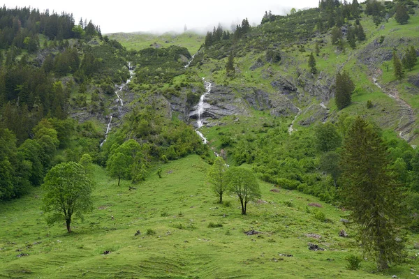 Vízesés Egy Hegyi Lejtőn Egy Völgybe Bajor Alpokban Egy Buja — Stock Fotó