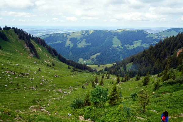 Valle Los Alpes Verdes Verano —  Fotos de Stock