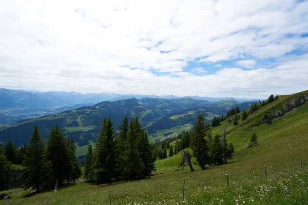 Зеленый Пейзаж Ландшафта Аллгау Альпы Баварии Летом — стоковое фото