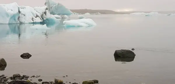 Тюлень Плавает Холодной Воде Ледниковой Лагуны Йоколсарлон Исландия — стоковое фото