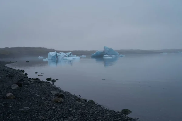 冰岛Jokulsarlon冰川湖冷水中的海豹游泳 — 图库照片