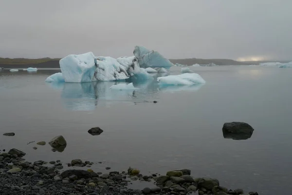 Selo Nadando Água Fria Lagoa Geleira Jokulsarlon Islândia — Fotografia de Stock
