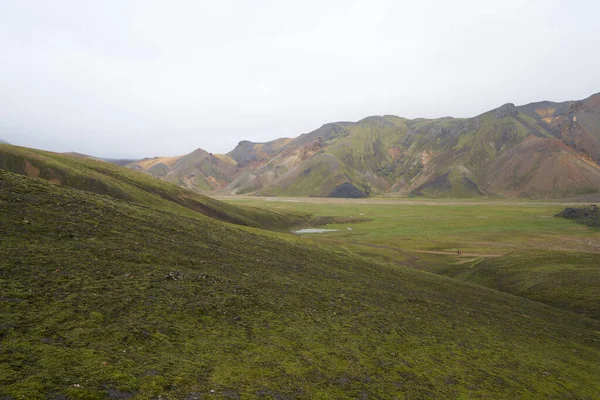 아이슬란드의 고지대에 아름다운란 날라우 — 스톡 사진