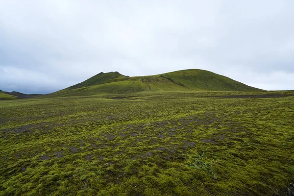 Vulcanic landscape in the highlands of iceland, black ash deserts with green moss 2020