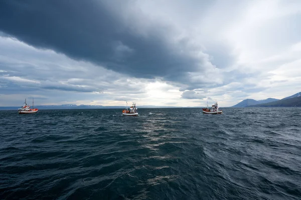 Navio Observação Baleias Husavik Costa Norte Islândia — Fotografia de Stock