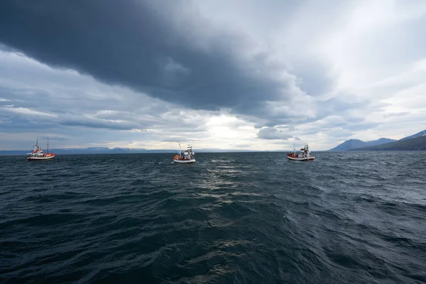 Navio Observação Baleias Husavik Costa Norte Islândia — Fotografia de Stock