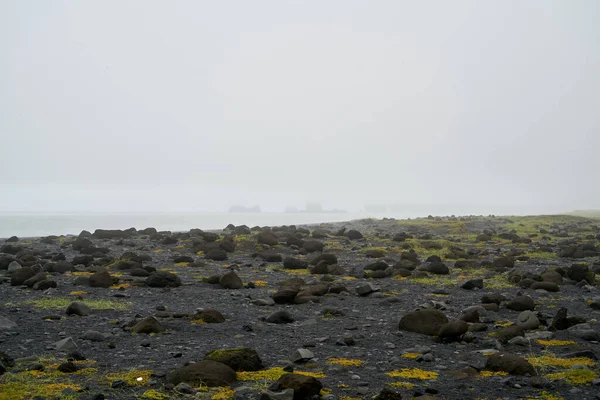 アイスランドの南海岸 緑の苔に覆われたエルドラウン溶岩原 アイスランドの苔むした溶岩原の風景 — ストック写真