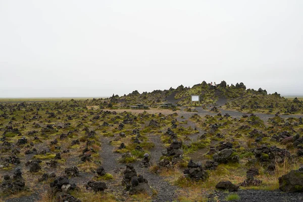 Eldhraun Lavafält Täckt Grön Mossa Islands Sundkust Isländsk Mossi Lavafält — Stockfoto