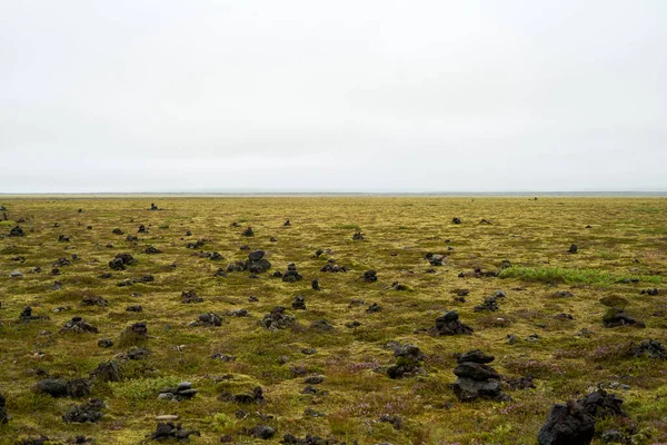 アイスランドの南海岸 緑の苔に覆われたエルドラウン溶岩原 アイスランドの苔むした溶岩原の風景 — ストック写真