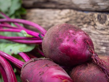 Taze organik pancar, pancar. 