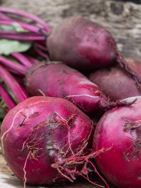 Taze organik pancar, pancar.