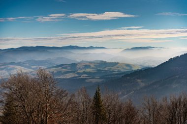 dağlarda renkli sonbahar manzarası.