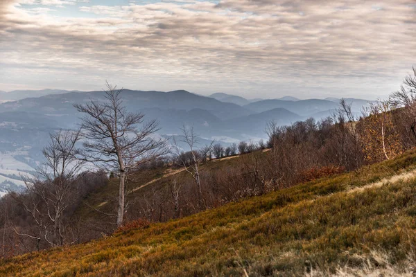 Πολύχρωμο φθινόπωρο τοπίο στα βουνά. — Φωτογραφία Αρχείου