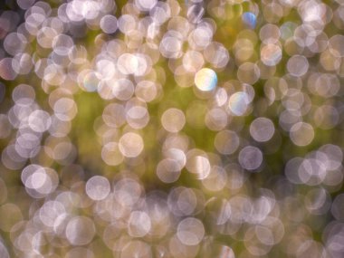 Soyut bokeh defocus sim bulanık arkaplan