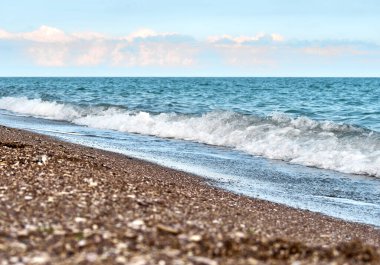 Sahilde deniz taşları ve deniz kabukları var..