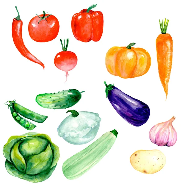 Watercolor Vegetables Cabbage Pumpkin Carrot Zucchini Squash Green Peas Potatoes — Stock Photo, Image