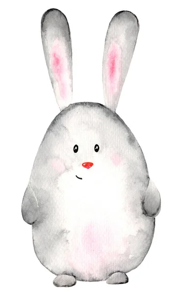 Aquarelle Lapin Gris Pâques Mignon Forme Oeuf Sur Fond Blanc — Photo